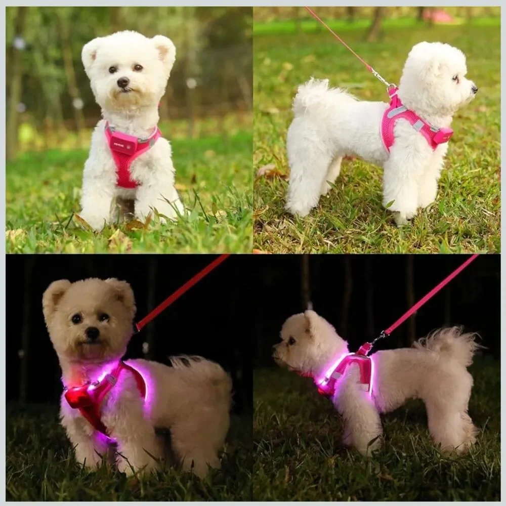 🆕 Feycig LED Light Up Rechargeable Dog Harness in Hot Pink